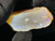 Australian Coober Pedy Uncut Rough Opal 141 Carat