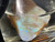 Australian Coober Pedy Uncut Rough Opal 141 Carat