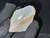 Australian Coober Pedy Uncut Rough Opal 141 Carat