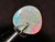Rainbow Colorplay Australian Coober Pedy Opal 0.80 Carat