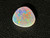 Rainbow Colorplay Australian Coober Pedy Opal 0.80 Carat