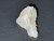 Australian Coober Pedy Multicolour Uncut Opal 9.50 Carat