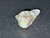 Australian Coober Pedy Multicolour Uncut Opal 9.50 Carat