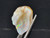 Australian Coober Pedy Multicolour Uncut Opal 10.65 Carat