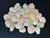 Multicolour Australian Coober Pedy Opal 27 Pc 17.75 Carat
