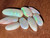 Multicolour Australian Coober Pedy Opal 8 Pc 9.30 Carat