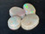 Multicolour Australian Coober Pedi Opal 4 Pc 6.75 Carat