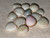 Multicolour Australian Coober Pedy Opal 13 Pc 17.40 Carat