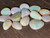 Multicolour Australian Coober Pedy Opal 14 Pc 12.85 Carat