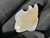 Australian Coober Pedi Solid Opal Carving Fish 28.15 Carat