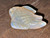 Australian Coober Pedi Solid Opal Carving Fish 28.15 Carat