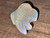 Australian Coober Pedi Solid Opal Carving Fish 28.15 Carat
