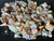 Australian Coober Pedy Uncut Rough Opal Chips 72.50 Carat
