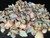 Australian Coober Pedy Uncut Rough Opal Chips 106 Carat
