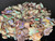 Australian Coober Pedy Uncut Rough Opal Chips 58 Carat