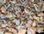 Australian Coober Pedy Uncut Rough Opal Chips 100.20 Carat