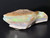 Mintabie, Australian Multicolour Natural Rough Opal 26.15 Carat