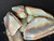 Mintabie, Australian Multicolour Natural Rough Opal 43.70 Cts