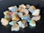 Australian Coober Pedy Uncut Rough Small Opal 56.60 Carat
