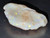 Mintabie, Australian Multicolour Natural Rough Opal 28.80 Cts