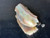 Mintabie, Australian Multicolour Natural Rough Opal 21.45 Cts