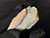 Mintabie, Australian Multicolour Natural Rough Opal 21.45 Cts