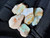 Mintabie, Australian Multicolour Natural Rough Opal 111 Cts
