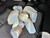 Australian Coober Pedy Multicolour Uncut Opal 382 Carat