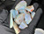 Australian Coober Pedy Multicolour Uncut Opal 382 Carat
