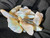 Mintabie, Australian Multicolour Natural Rough Opal 75 Cts