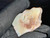 Australian Coober Pedy Natural Rough Opal 37.90 Carat