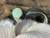 Natural Australian Coober Pedy Opal Ring 12.60 Carat