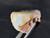 Australian Coober Pedy Natural Rough Opal 16.65 Carat