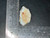 Mintabie, Australian Multicolour Natural Rough Opal 34.55 Cts
