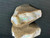 Mintabie, Australian Multicolour Natural Rough Opal 62.40 Cts