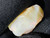 Australian Coober Pedy Natural Rough Opal 18.95 Carat