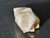 Mintabie, Australian Multicolour Natural Rough Opal 27.65 Cts