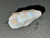 Mintabie, Australian Multicolour Natural Rough Opal 27.65 Cts