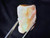 Australian Coober Pedy Multicolour Uncut Opal 72.65 Carat
