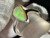 Natural Australian Coober Pedy White Opal Ring 25.75 carat