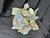 Mintabie, Australian Multicolour Natural Small Rough Opal 62 Cts