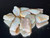 Mintabie, Australian Rough Small Opal 20.10 Carat