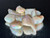 Mintabie, Australian Rough Small Opal 20.10 Carat