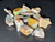 Mintabie, Australian Rough Small Opal 50 Carat