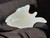 Australian Coober Pedi Solid Opal Carving Fish 29.70 Carat