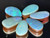Australian Queensland Doublet Boulder Opal 6 Pc 10.50 Carat