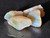 Australian Coober Pedy Natural Rough Opal 20.70 Carat