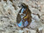 Australian Boulder Opal Pendant 29.20 Carat
