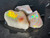 Australian Coober Pedy Natural Rough Opal 11.10Carat