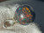 Australian Matrix Opal Pendant 7.45 Carat